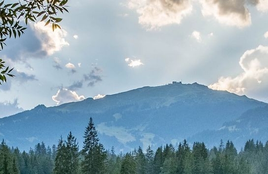 粉象生活如何添加人员