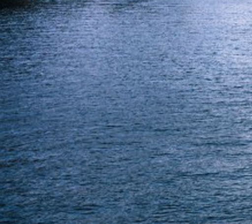 粉象生活邀请码粉