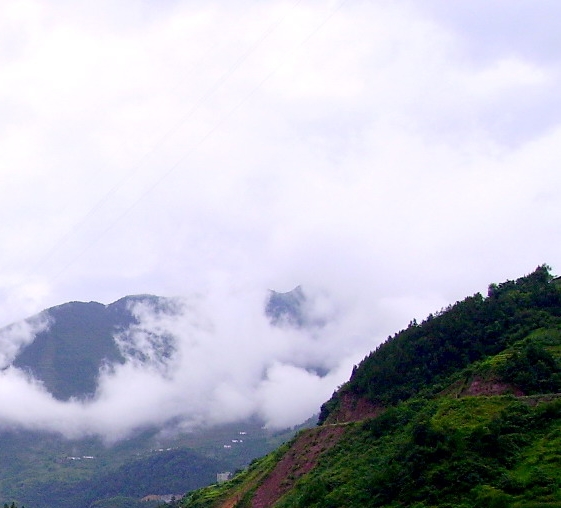 新手粉象生活怎么赚钱