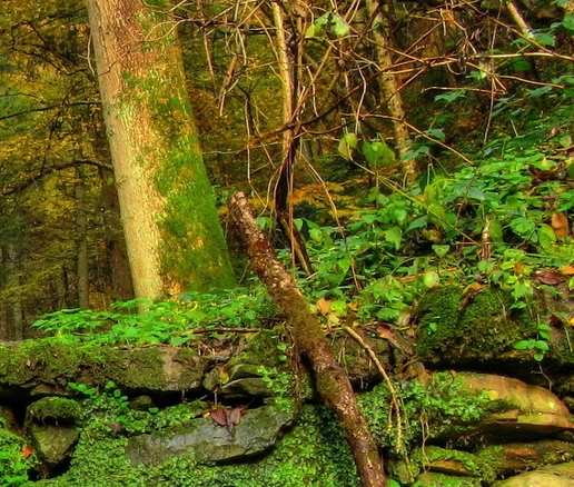 粉象生活赚钱容易吗