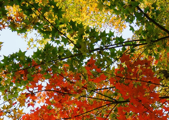 粉象生活收款可以退款吗