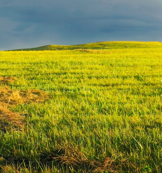 粉象生活能赚到钱吗