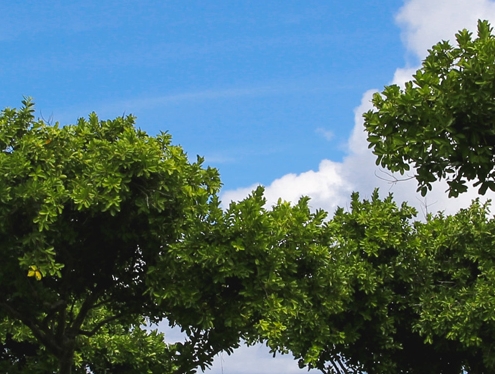 粉象生活能赚到钱吗