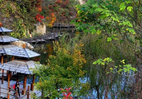 粉象生活怎么领优惠券