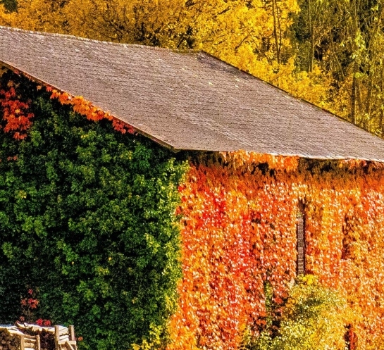 粉象生活下载app