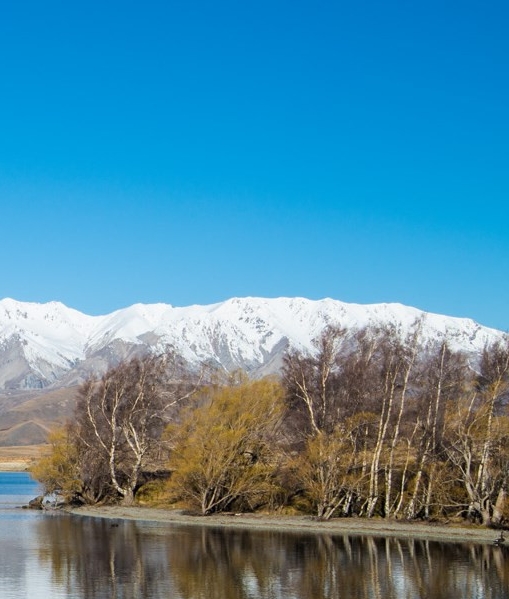 粉象生活填什么邀请码得vip