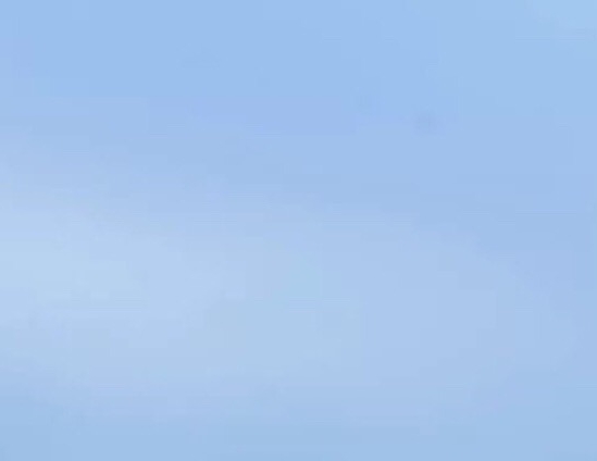 粉象生活团队怎么取名