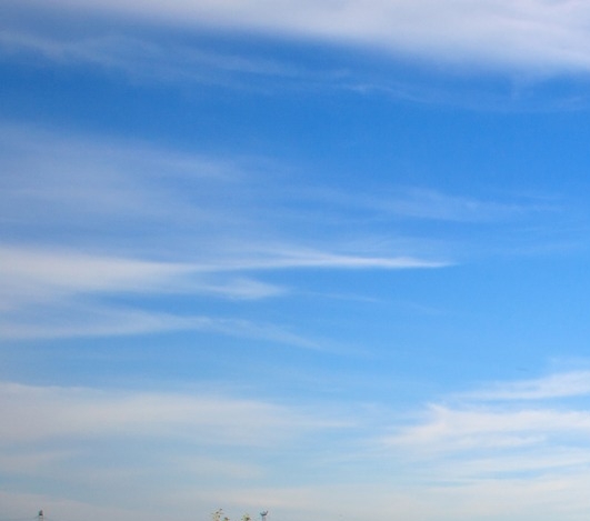 粉象生活怎么赚钱