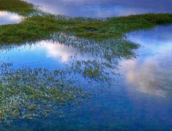 粉象生活的积分能干嘛