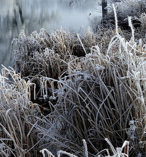 粉象生活能赚到50多万吗