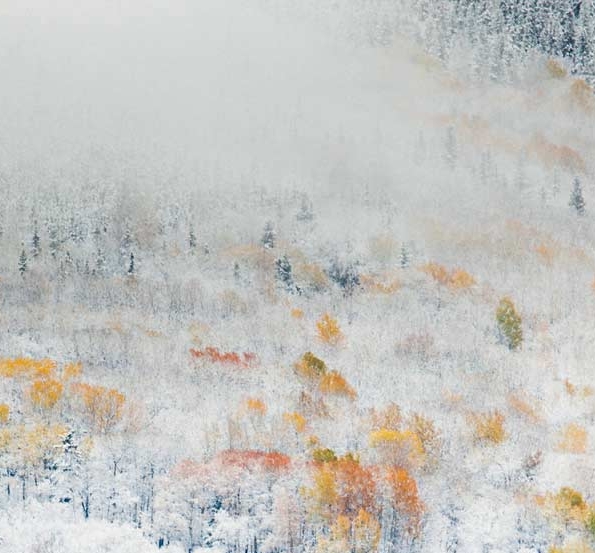 粉象生活到底能不能做