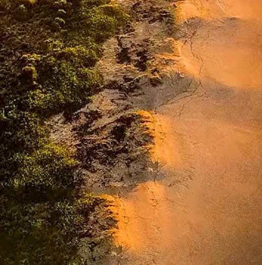 浅粉象啤酒一箱多少瓶