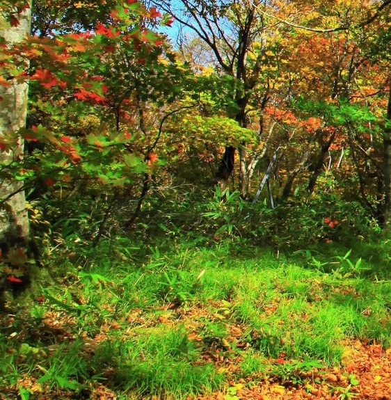 粉象生活商家合作推广费用