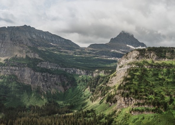 粉象生活下载app