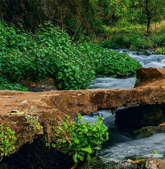 粉象生活靠什么盈利