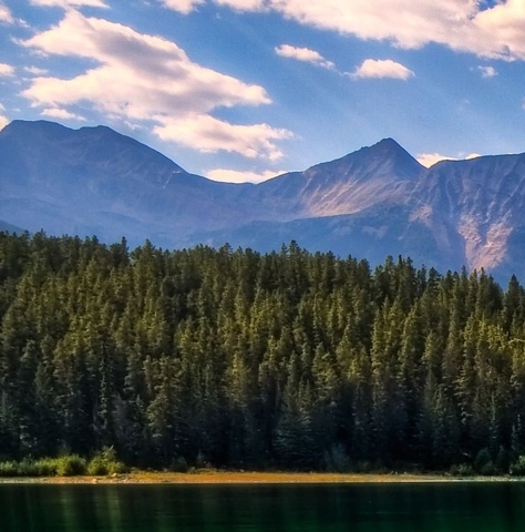 粉象生活邀请码