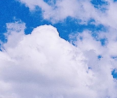 粉象生活加入购物车还可以返佣金吗