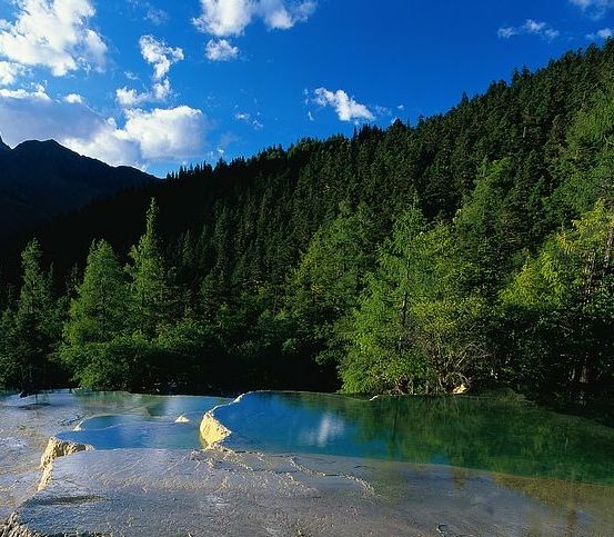 粉象生活邀请码