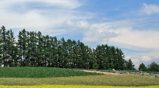 粉象生活怎么赚钱