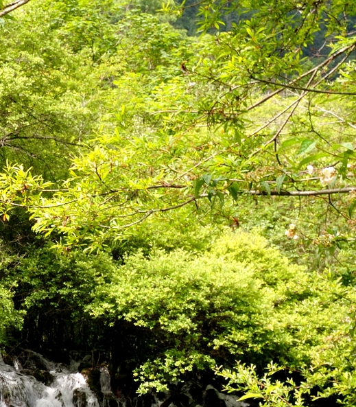 粉象生活和小淘客