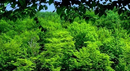 粉象生活怎么解绑淘宝账号