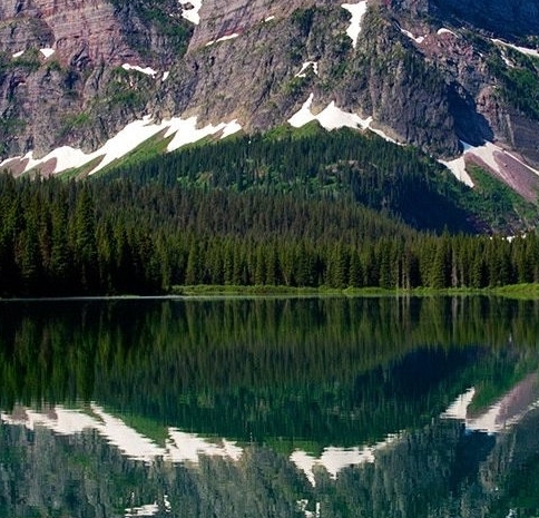 粉象生活怎么在手机上玩