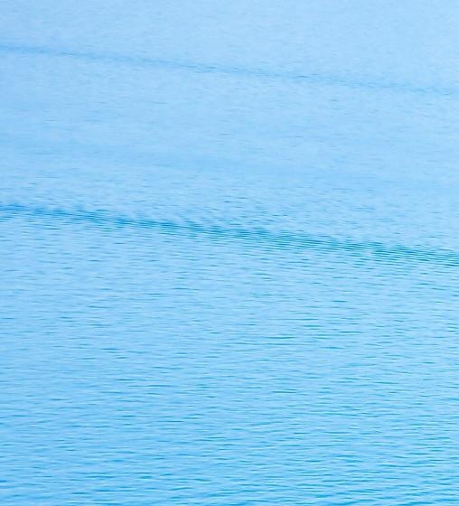 粉象生活到底能不能做