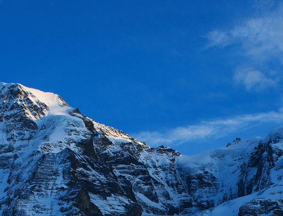 粉象生活18元提现