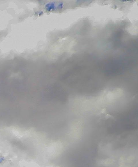 粉象生活下载app