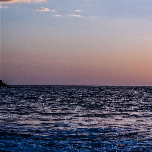 阳江粉象生活赚钱