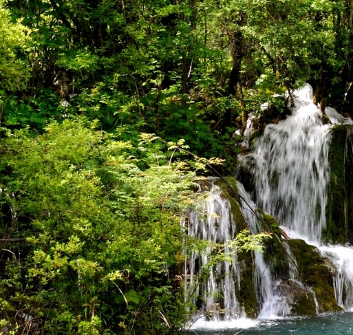 高佣联盟好还是粉象生活