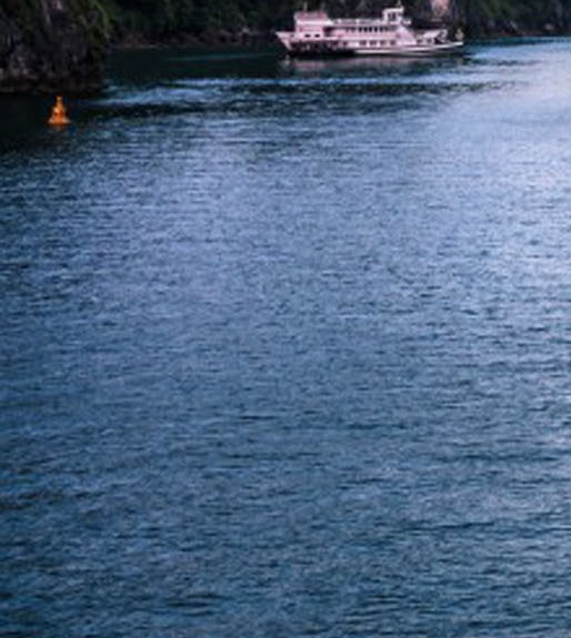 粉象生活邀请码