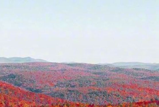 粉象生活赚钱教程