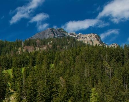 粉象生活粉丝怎么增加