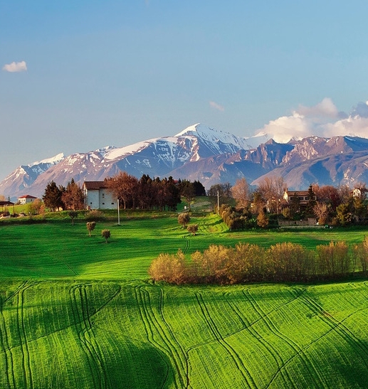 粉象生活砍价技巧
