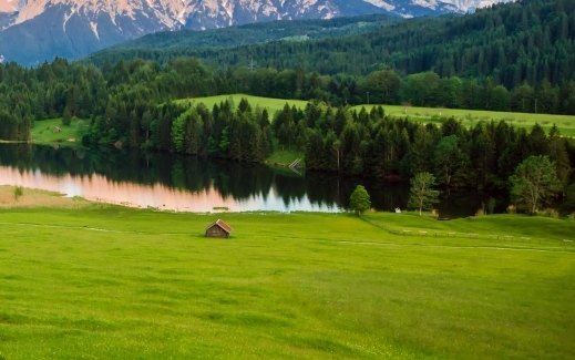 粉象生活介绍大全