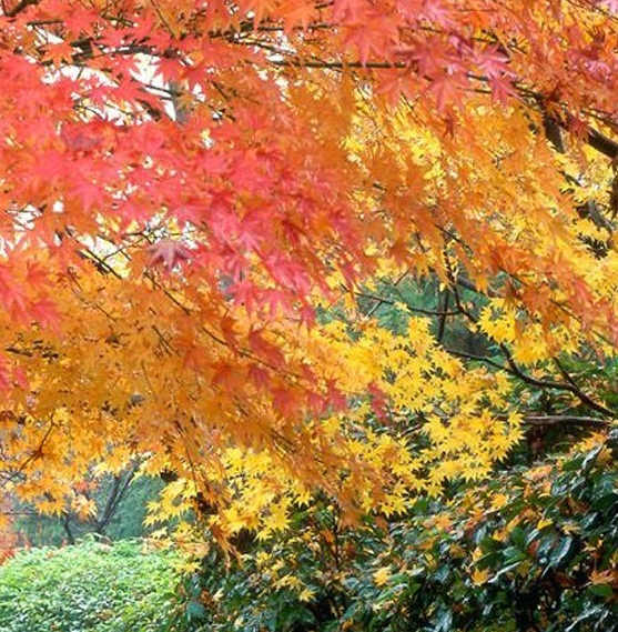 浙江经济生活电视台直播