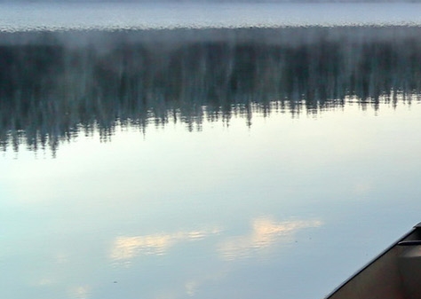 粉象生活下载app