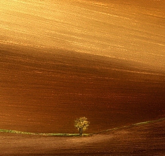 广东粉象生活如何使用