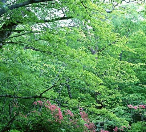 粉象生活做店长怎么赚钱