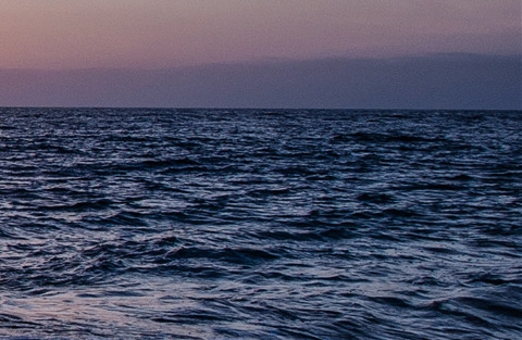 粉象生活邀请码