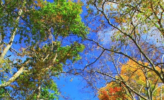 粉象生活下载app