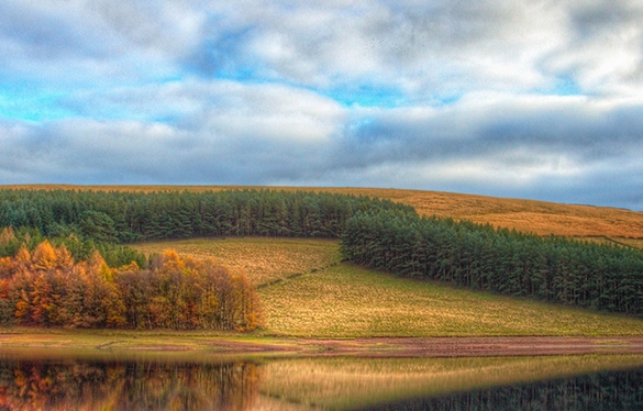粉象生活怎么退出邀请码