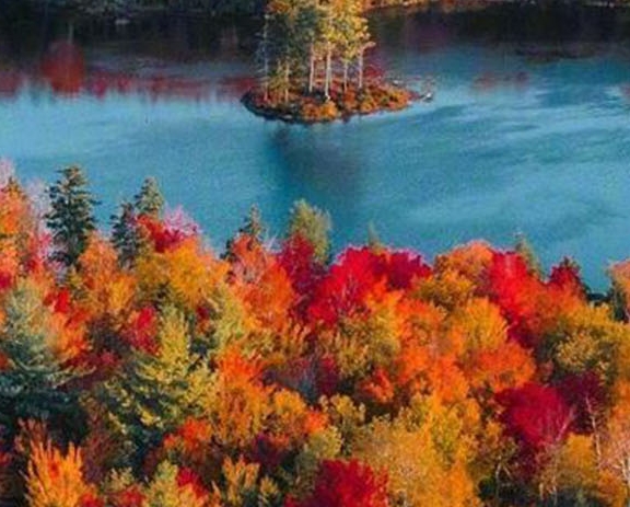 浙江制造品质生活