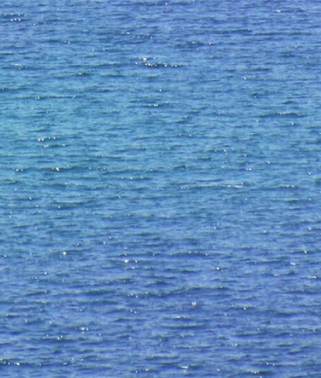 抖音粉象生活是干什么的