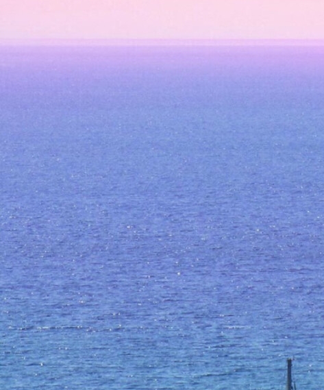 粉象生活活动的活动主题