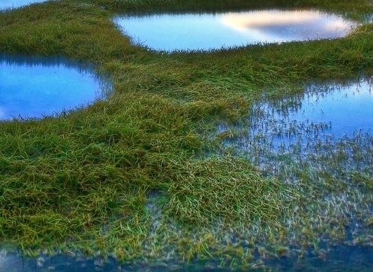 粉象生活和抖音的区别