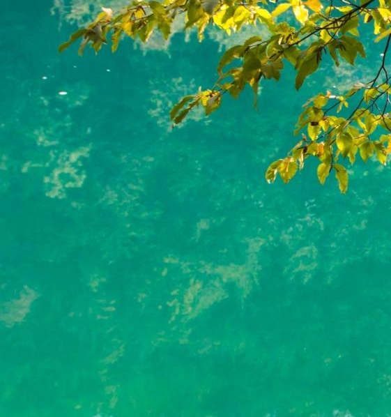 粉象生活副业可信吗