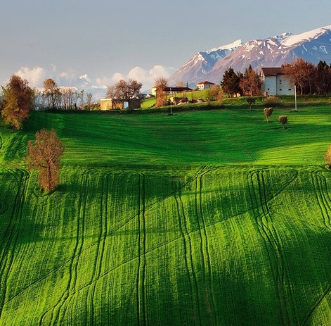 粉象生活发什么东西赚钱