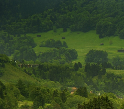 粉象生活总部电话多少